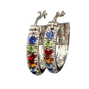 New Karis Swarovski Multicolor Crystal Stainless Hoop Earrings Evening Elegant